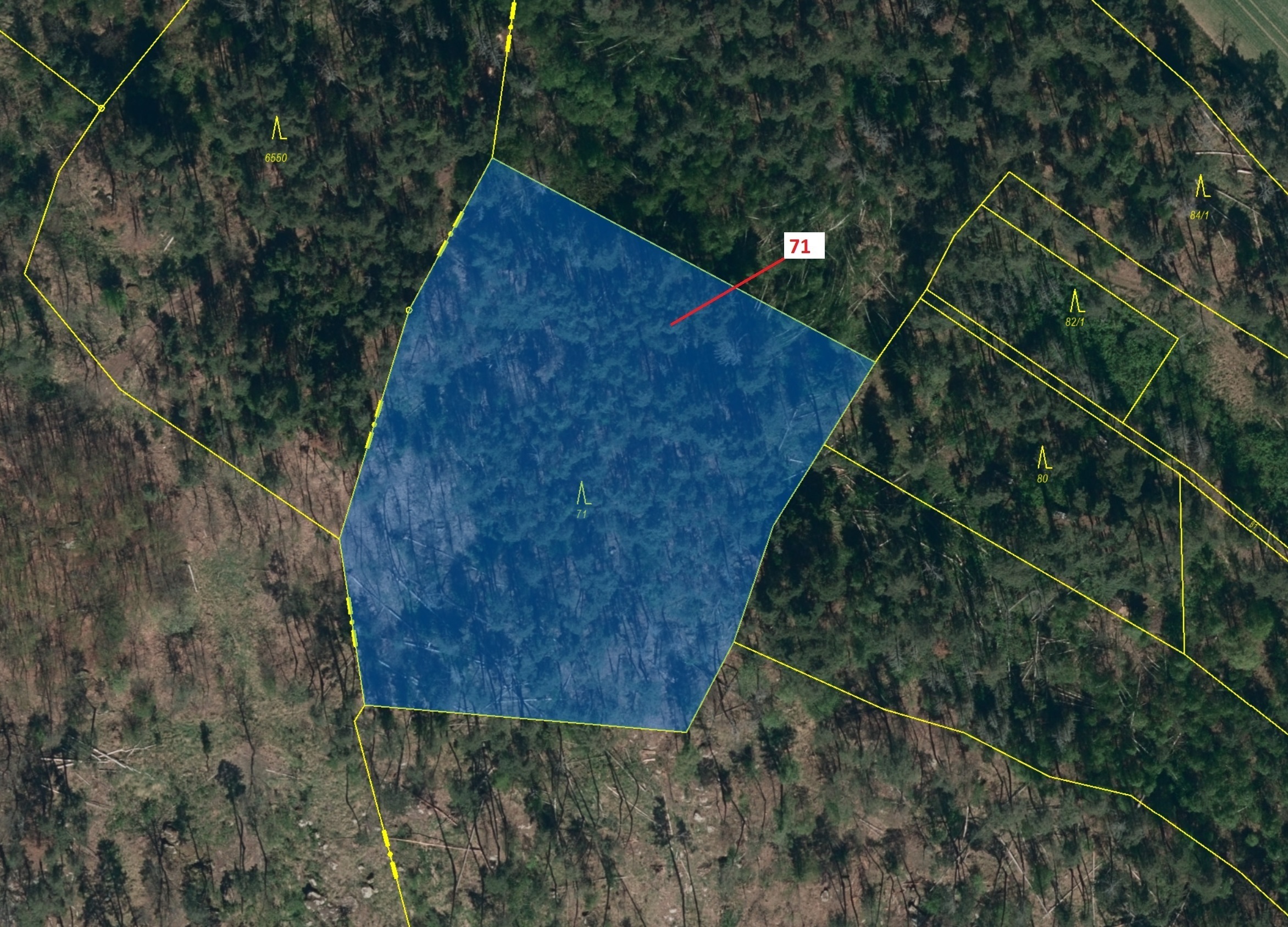 Lesní pozemek o výměře 6602 m2, podíl 1/1, katastrální území Vaneč, obec Pyšel, obec s rozšířenou pů