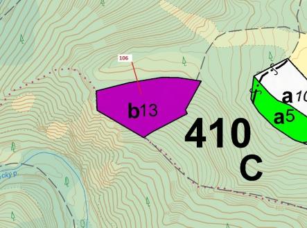 Prodej pozemku, les, 9 333 m²