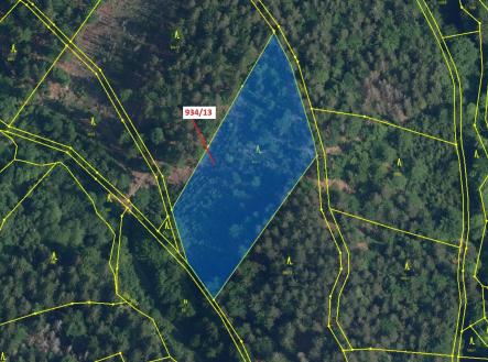 Prodej pozemku, les, 6 213 m²