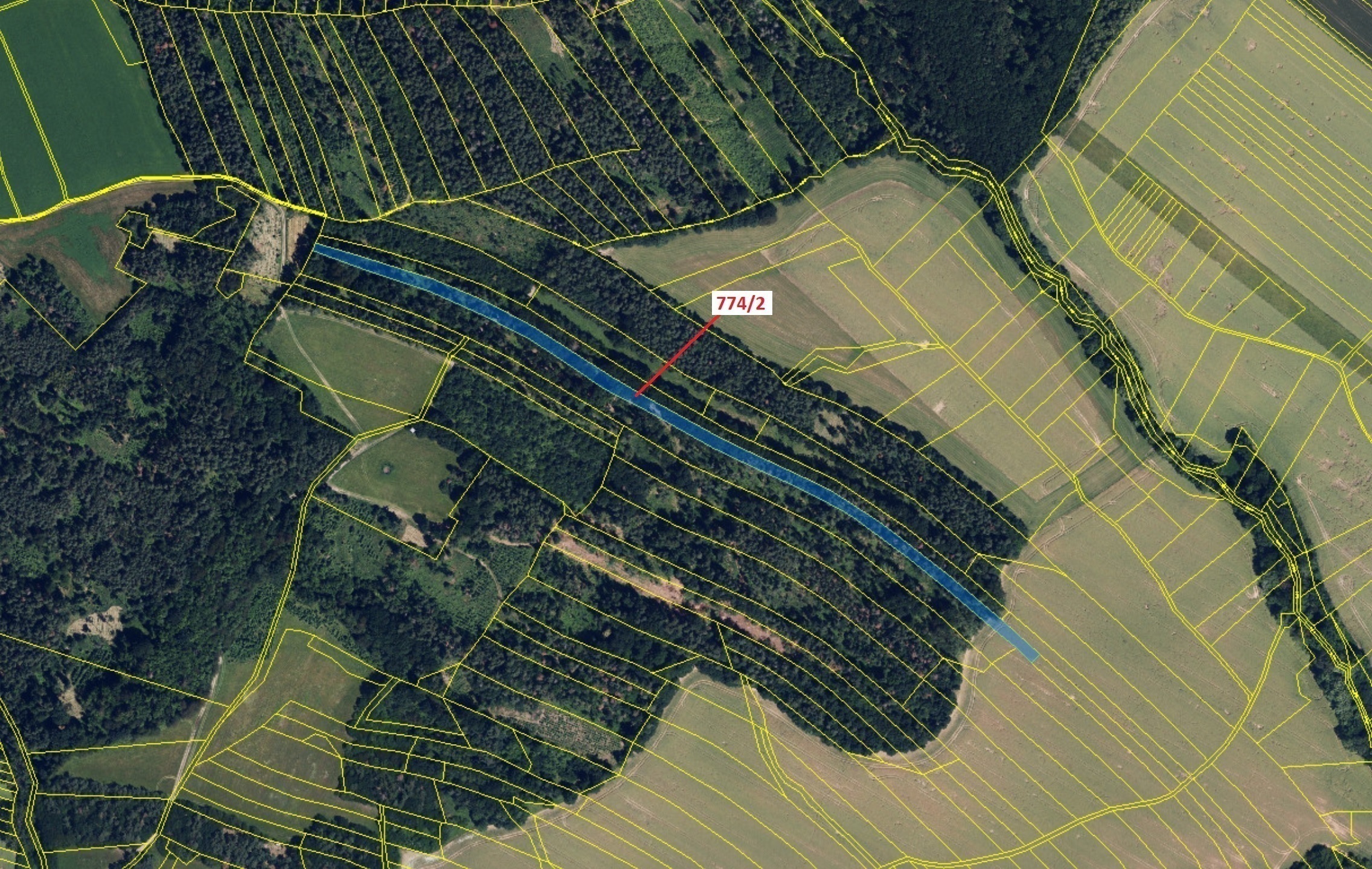 Lesní pozemek o výměře 7 901 m2, podíl 1/1, katastrální území Přemyslovice, obec Přemyslovice, obec 