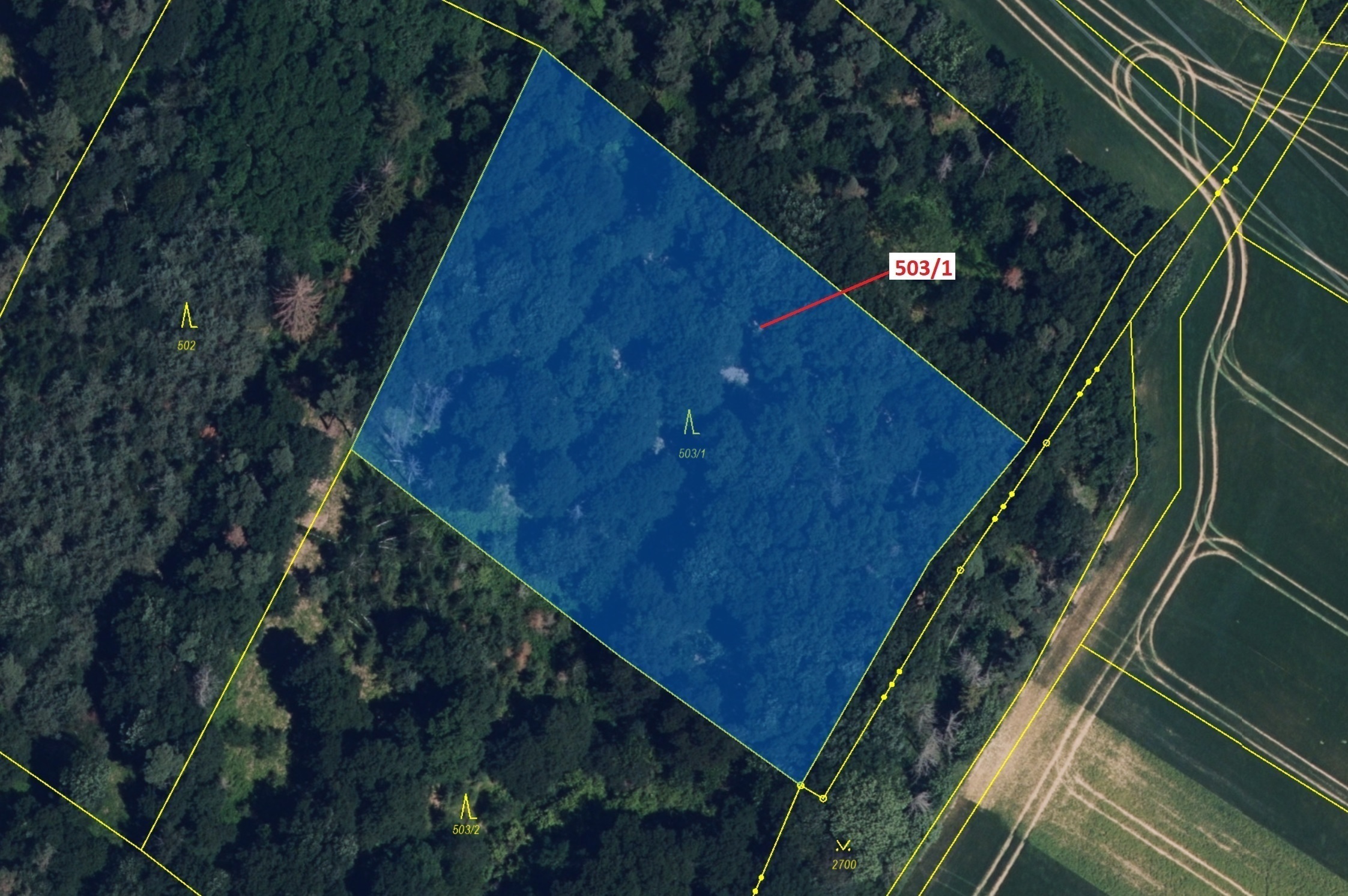 Lesní pozemek o výměře 7 049 m2, podíl 1/1, katastrální území Přemyslovice, obec Přemyslovice, obec 