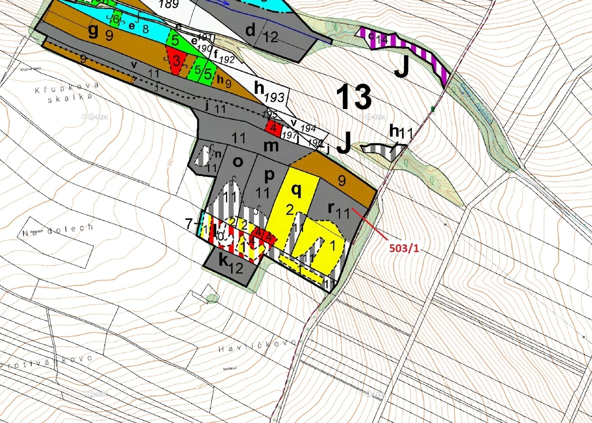 Lesní pozemek o výměře 7 049 m2, podíl 1/1, katastrální území Přemyslovice, obec Přemyslovice, obec 