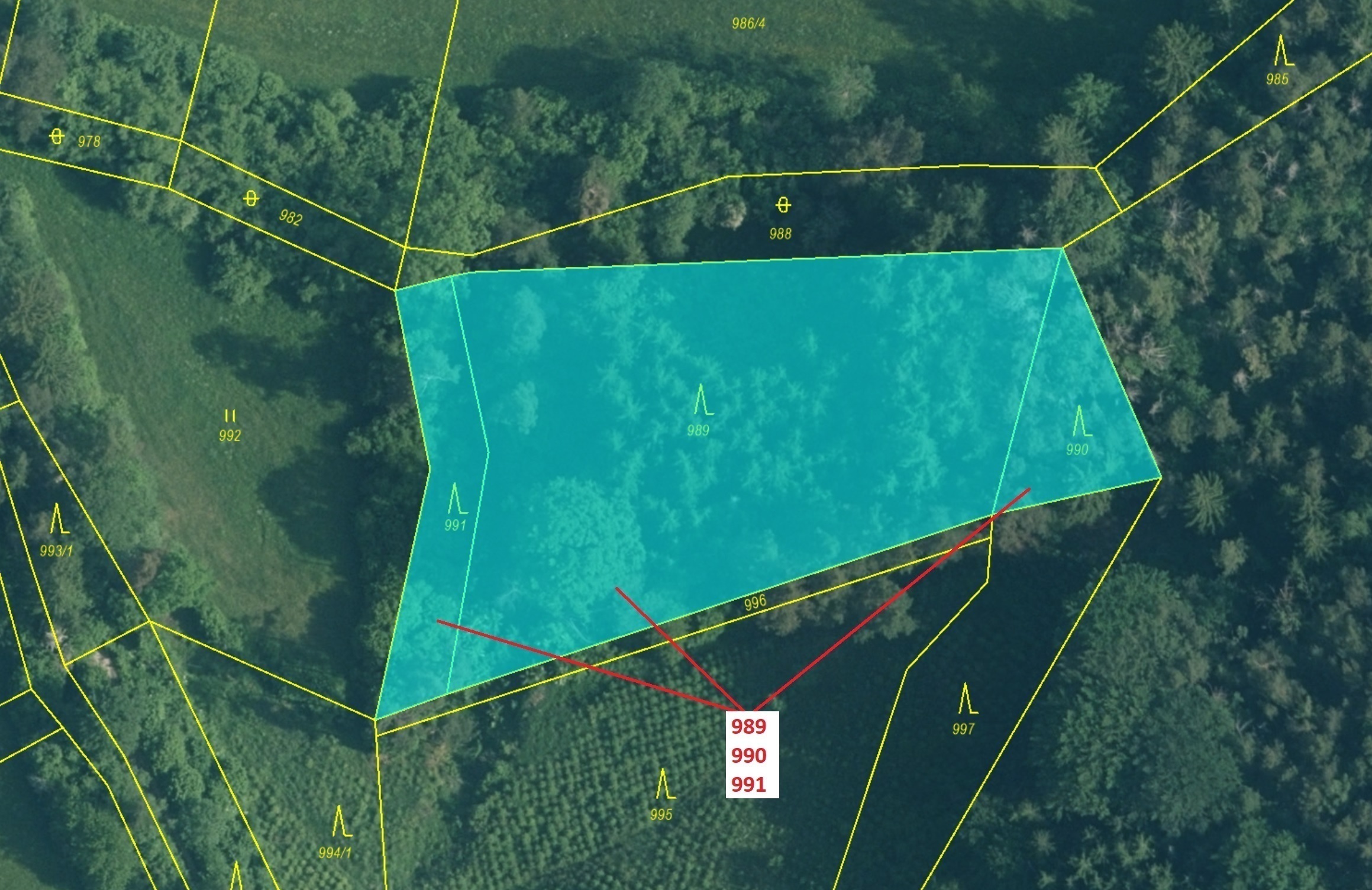 Lesní pozemky o výměře 4 276 m2, podíl 1/1, katastrální území Čepice, obec Rabí, obec s rozšířenou p
