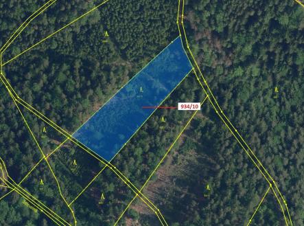 Prodej pozemku, les, 4 305 m²