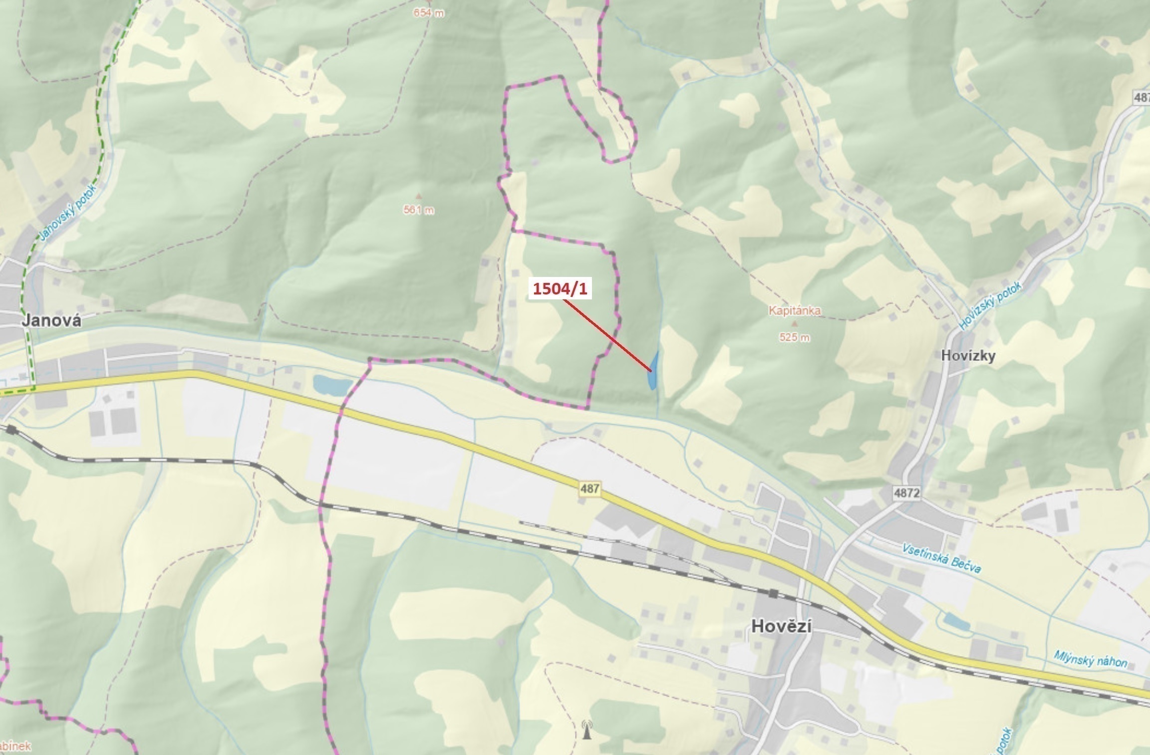 Lesní pozemek o výměře 2626 m2, podíl 1/1, katastrální území Hovězí, obec Hovězí, obec s rozšířenou 