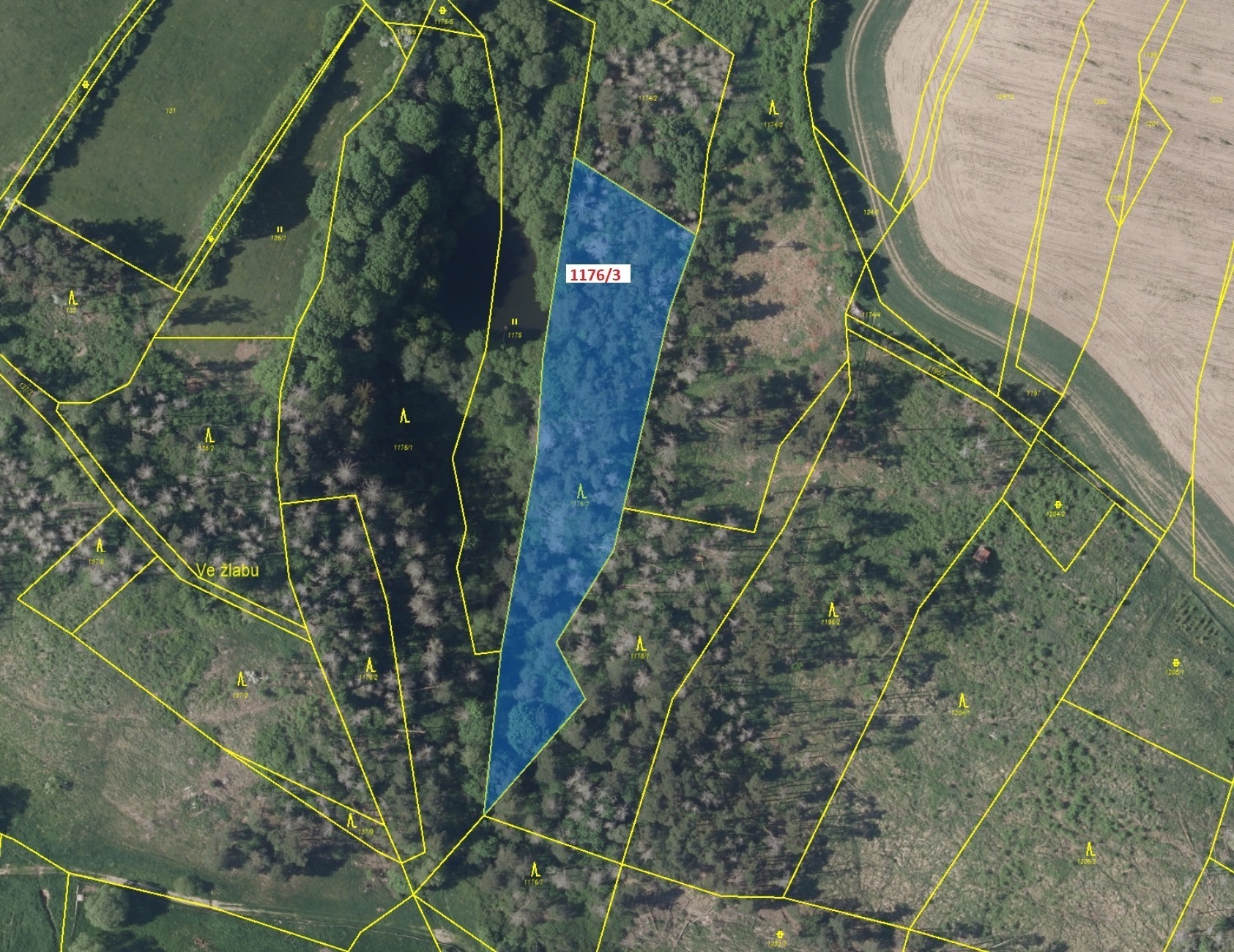 Lesní pozemek o výměře 5146 m2, podíl 1/1, katastrální území Střížov, obec Brtnice, obec s rozšířeno