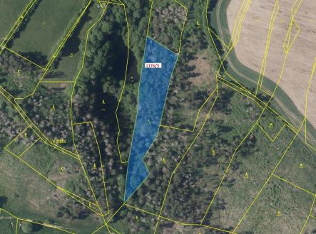 Prodej pozemku, les, 5 146 m²