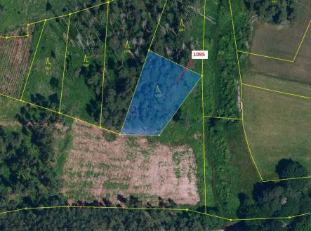 Prodej pozemku, les, 1 427 m²