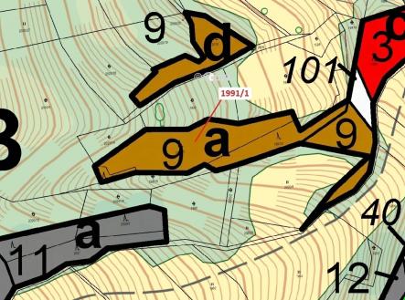 Prodej pozemku, les, 2 438 m²
