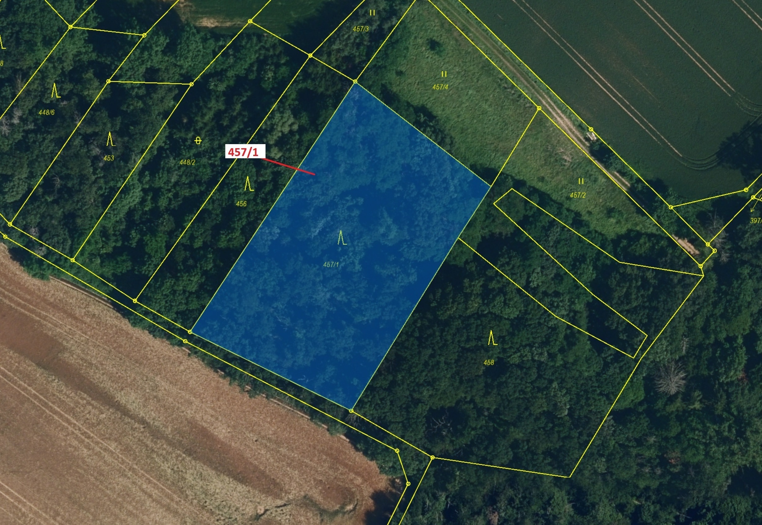 Lesní pozemek o výměře 4115 m2, podíl 1/1, katastrální území Přešovice, obec Přešovice, obec s rozší