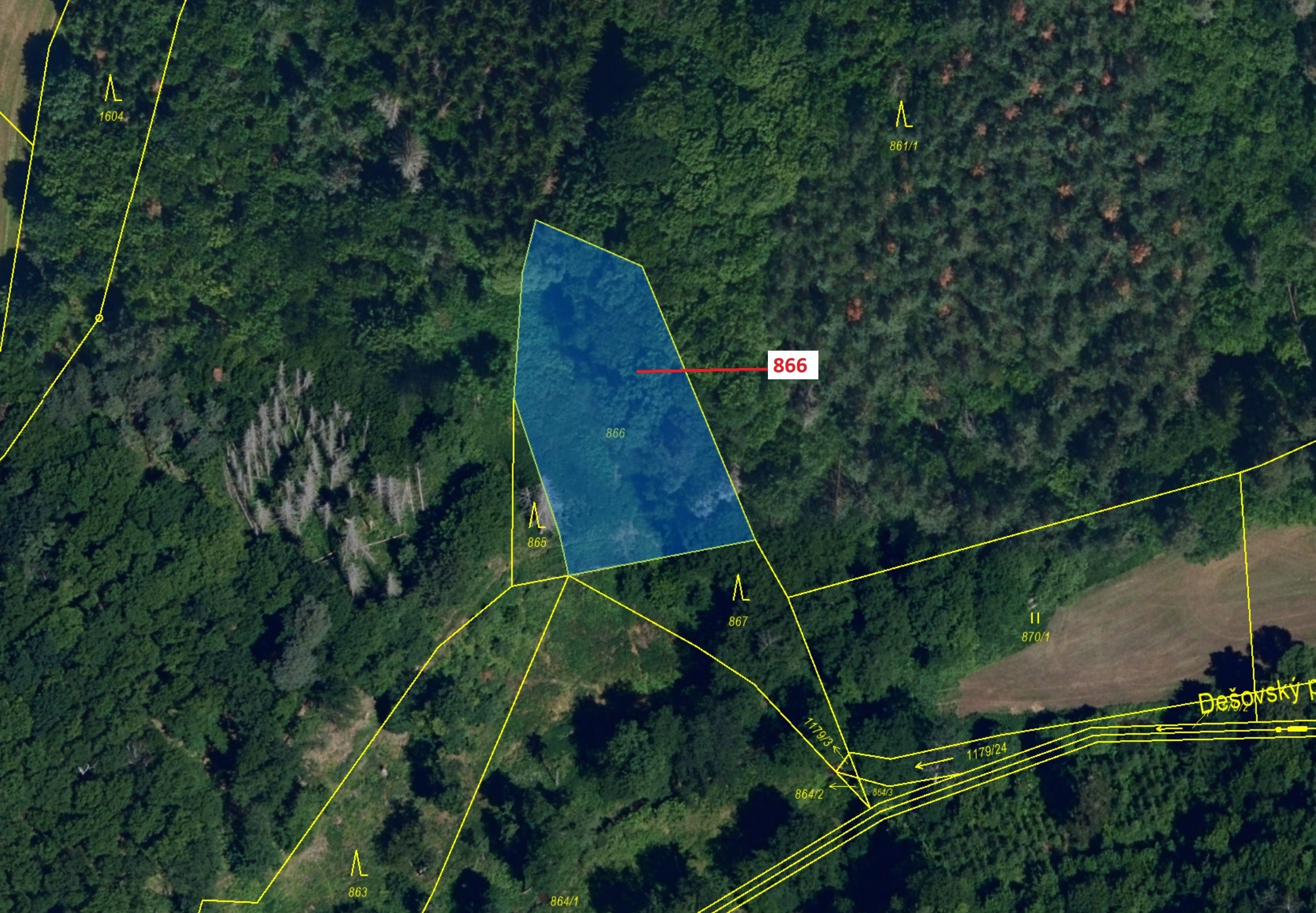 Ostatní plocha o výměře 1277 m2, podíl 1/1, katastrální území Malý Dešov, obec Dešov, obec s rozšíře