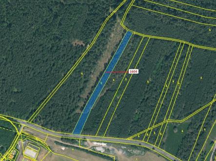 Prodej pozemku, les, 4 076 m²