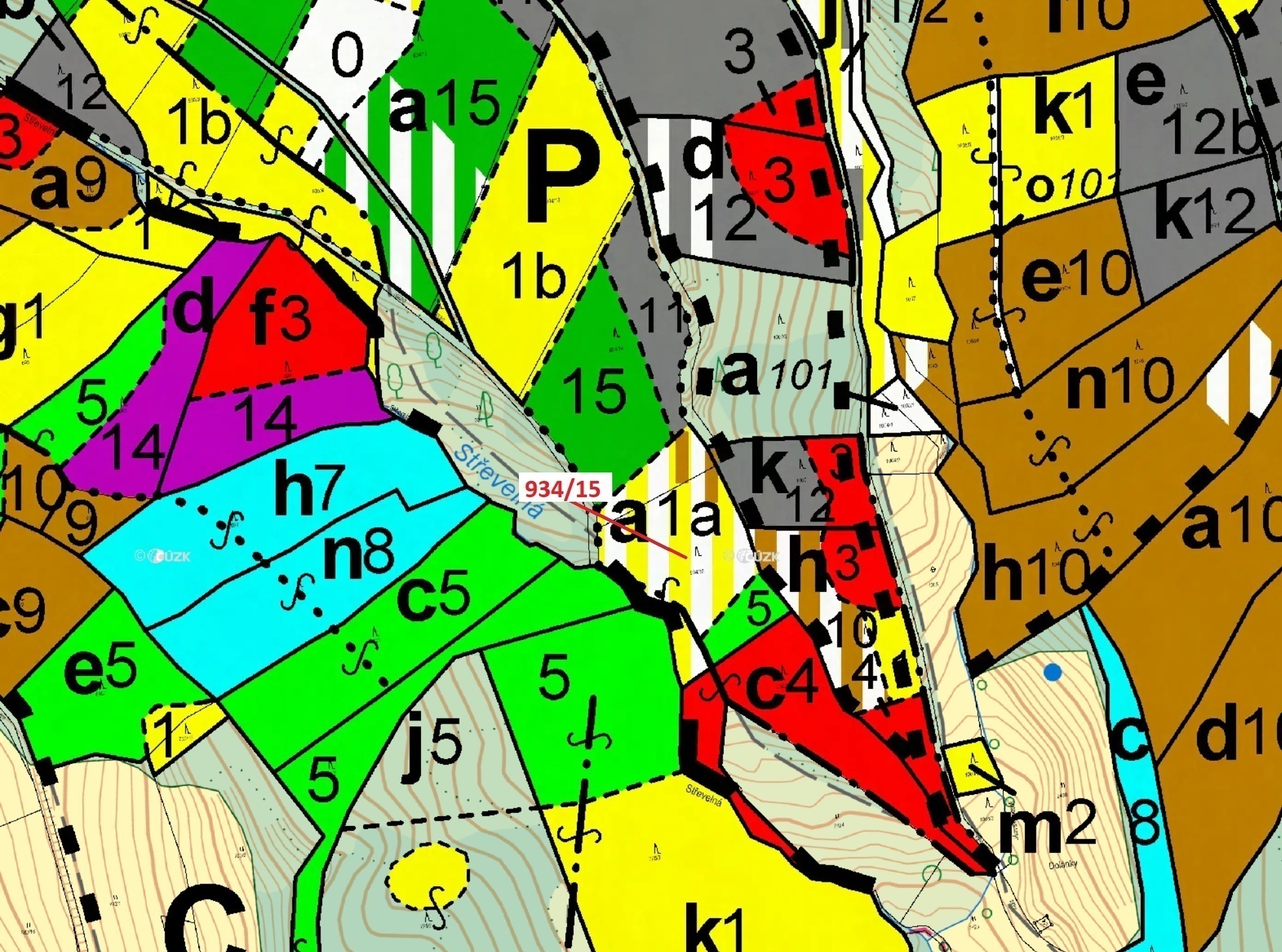 Lesní pozemek o výměře 3 821 m2, podíl 1/1, katastrální území Jílové u Držkova, obec Jílové u Držkov