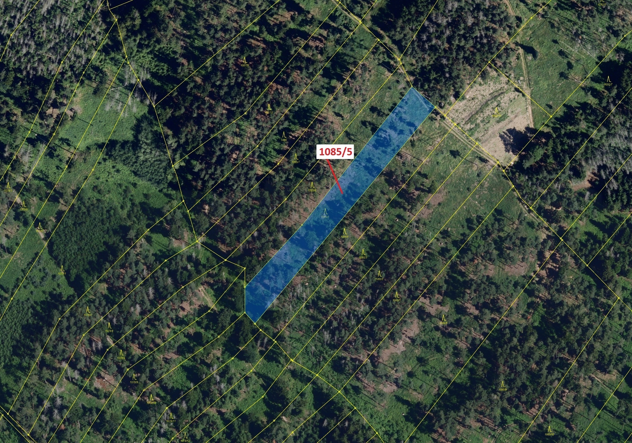 Lesní pozemek o výměře 3926 m2, podíl 1/1, katastrální území Veverské Knínice, obec Veverské Knínice