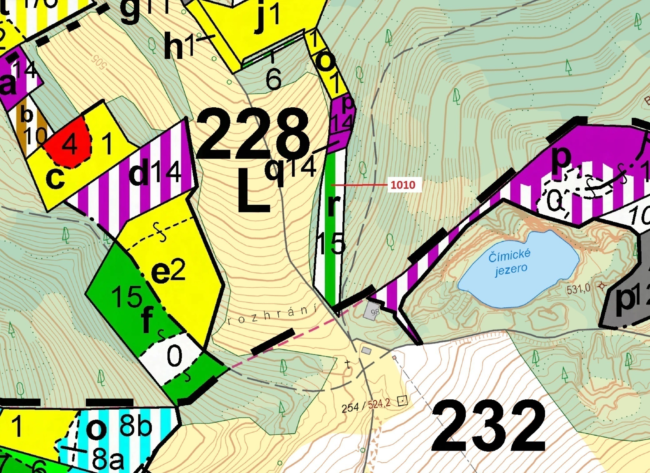 Lesní pozemek o výměře 3 054 m2, podíl 1/1, katastrální území Čepice, obec Rabí, obec s rozšířenou p