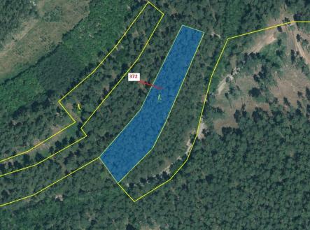 Prodej pozemku, les, 3 291 m²