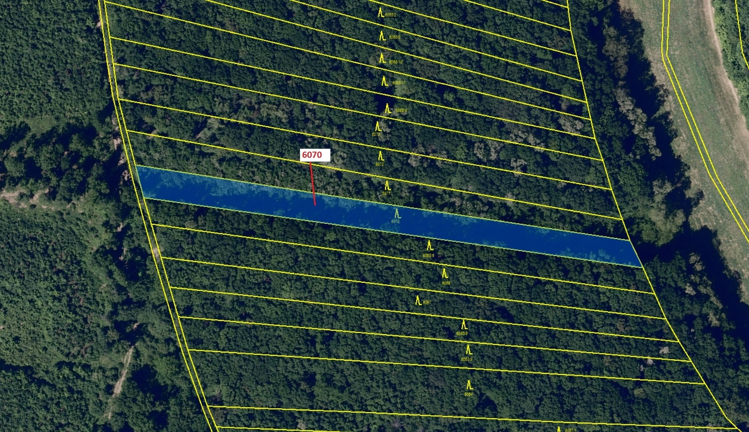 Lesní pozemek o výměře 2892 m2, podíl 1/1, katastrální území Archlebov, obec Archlebov, obec s rozší