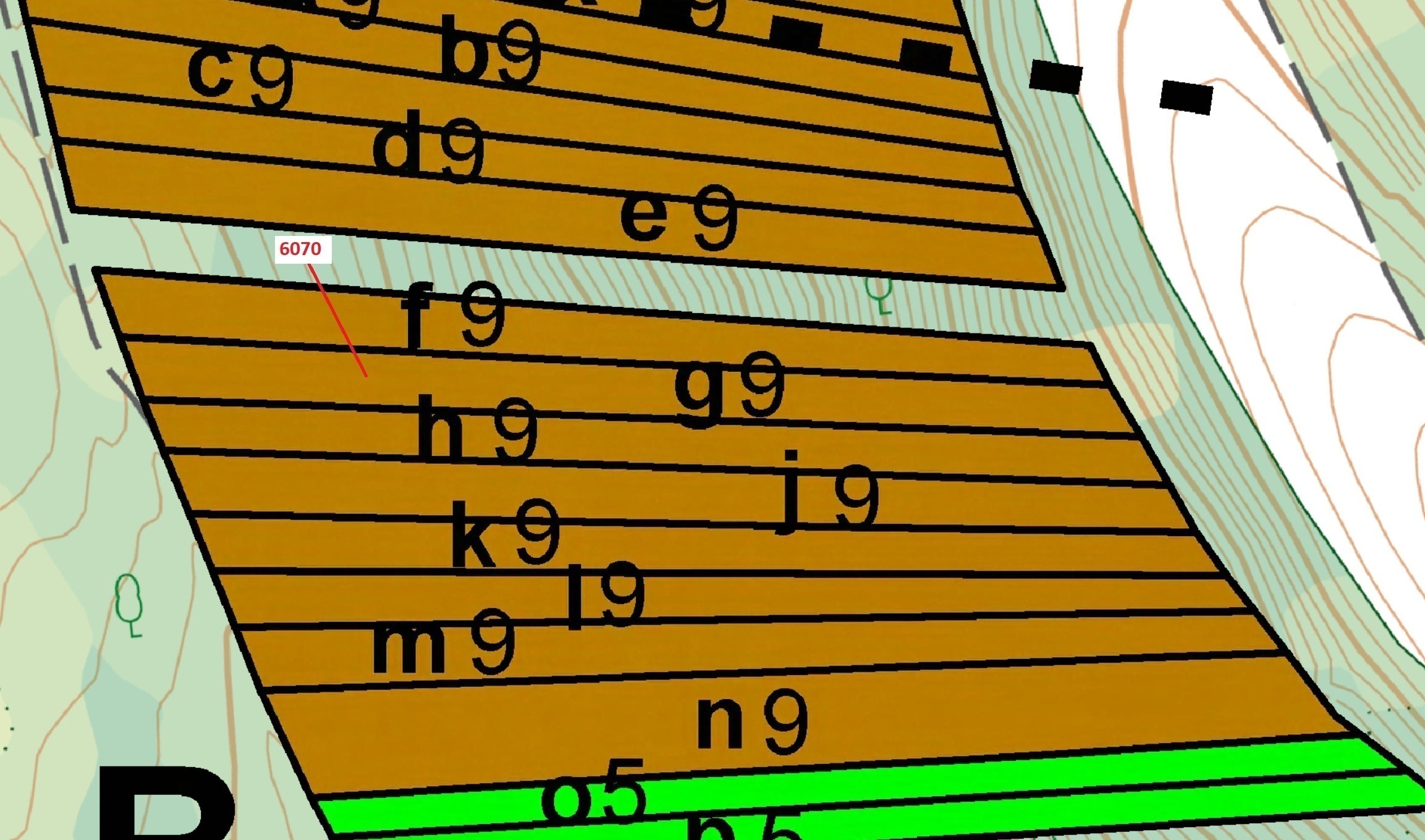 Lesní pozemek o výměře 2892 m2, podíl 1/1, katastrální území Archlebov, obec Archlebov, obec s rozší