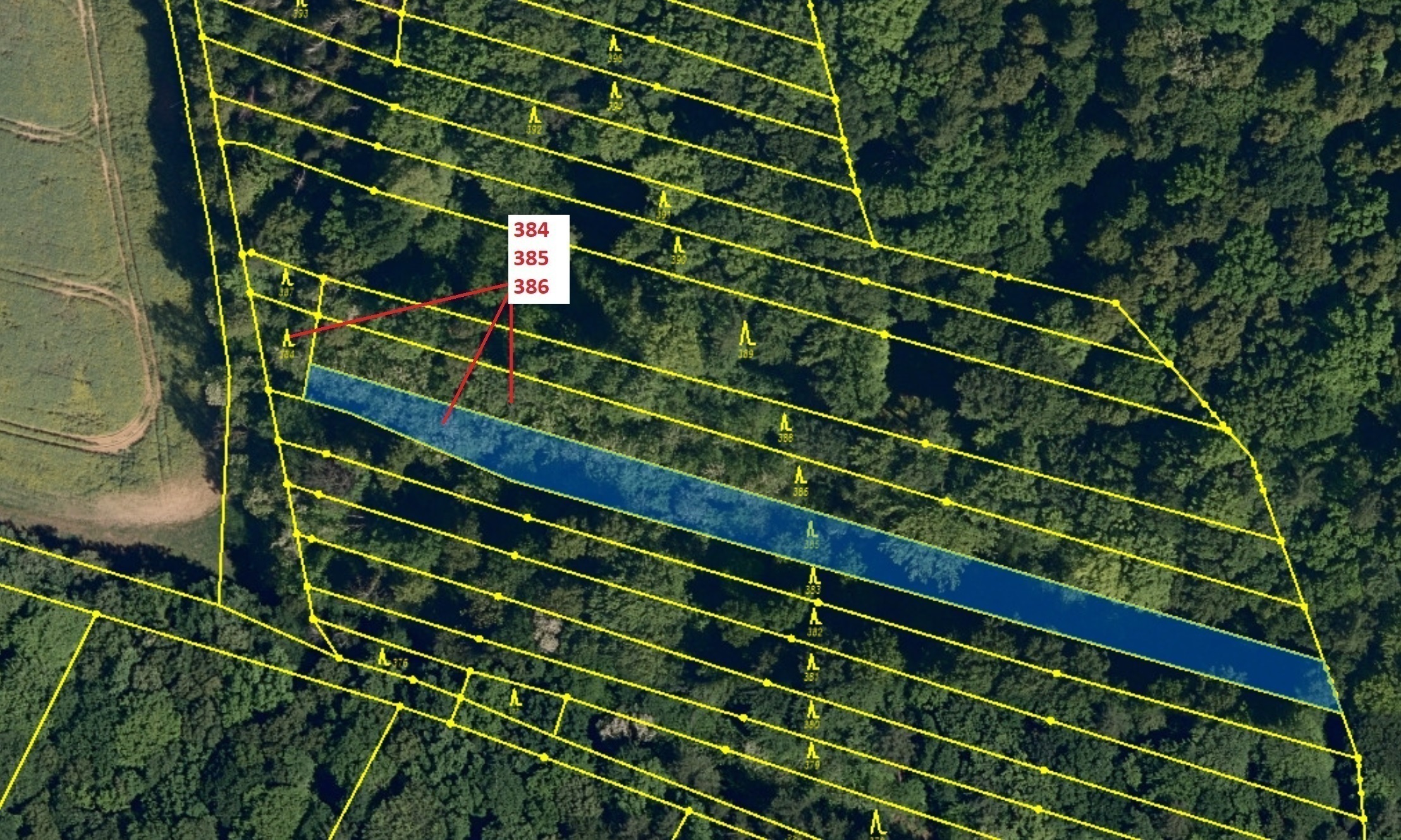 Lesní pozemky o výměře 3483 m2, podíl 1/1, katastrální území Hradčany na Moravě, obec Hradčany, obec