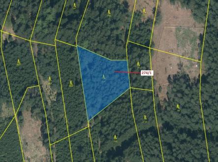 Prodej pozemku, les, 2 949 m²