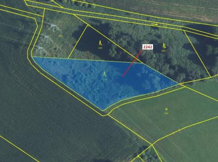 Prodej pozemku, les, 3 972 m²