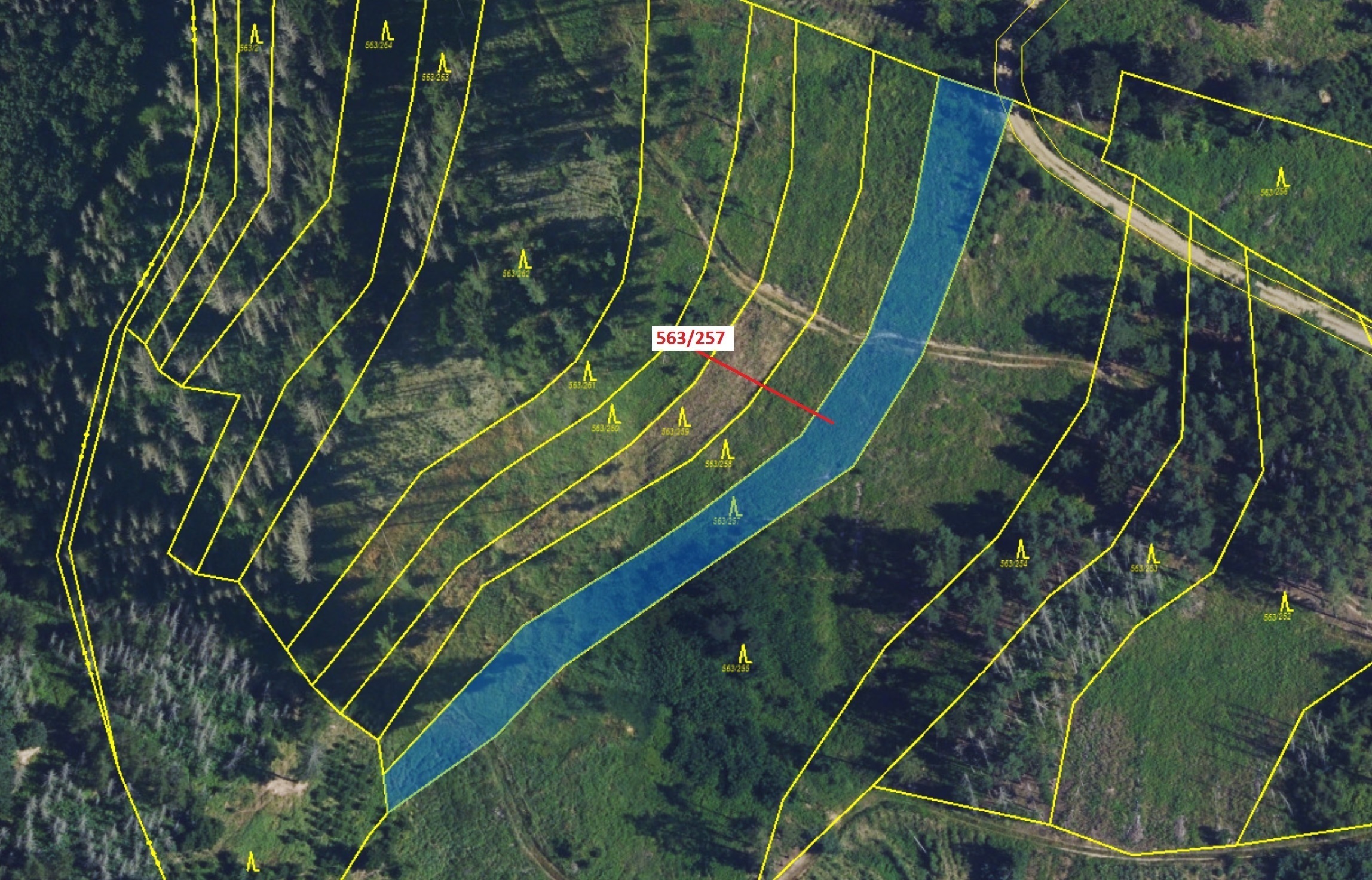 Lesní pozemek o výměře 2643 m2, podíl 1/1, katastrální území Spešov, obec Spešov, obec s rozšířenou 