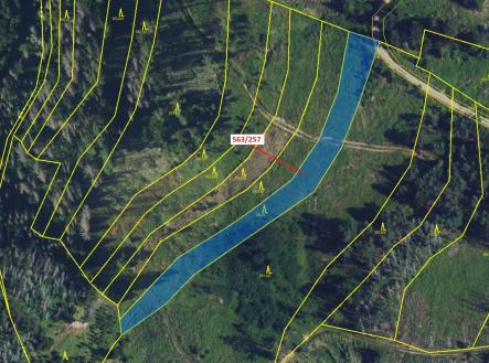 Prodej pozemku, les, 2 643 m²