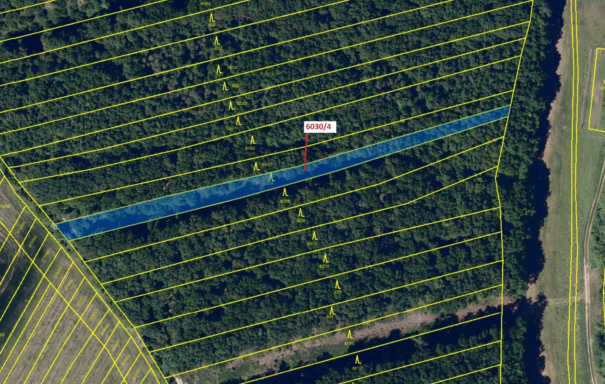 Lesní pozemek o výměře 2108 m2, podíl 1/1, katastrální území Archlebov, obec Archlebov, obec s rozší