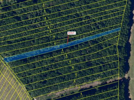 Prodej pozemku, les, 2 108 m²