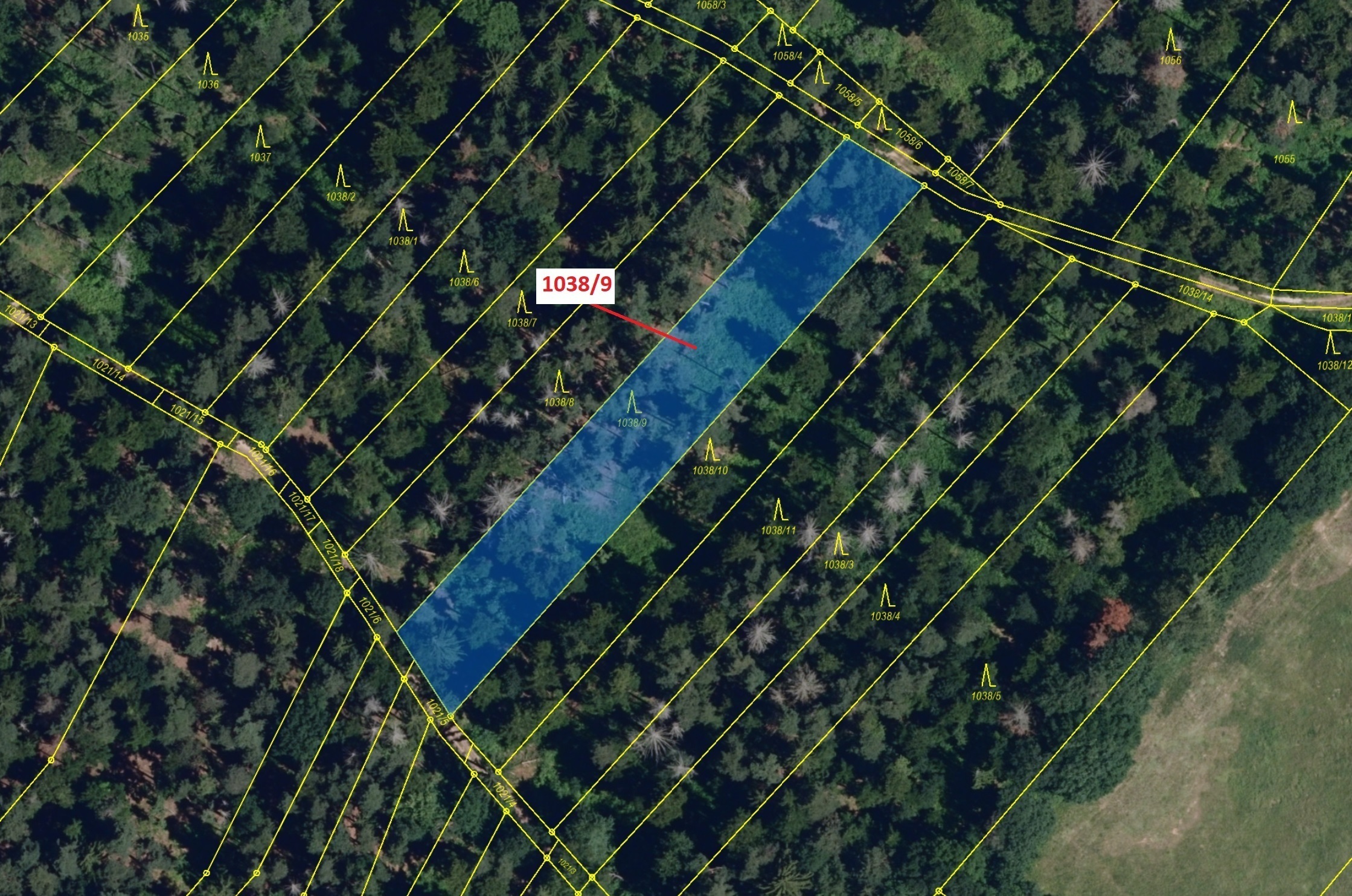 Lesní pozemek o výměře 2213 m2, podíl 1/1, katastrální území Veverské Knínice, obec Veverské Knínice