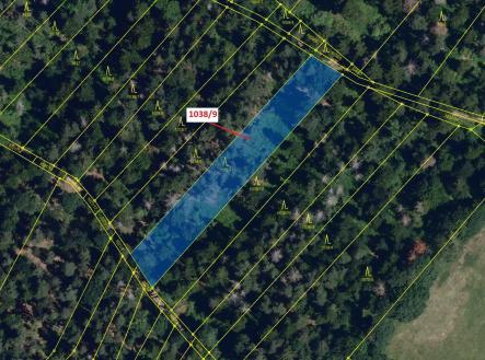 Prodej pozemku, les, 2 213 m²