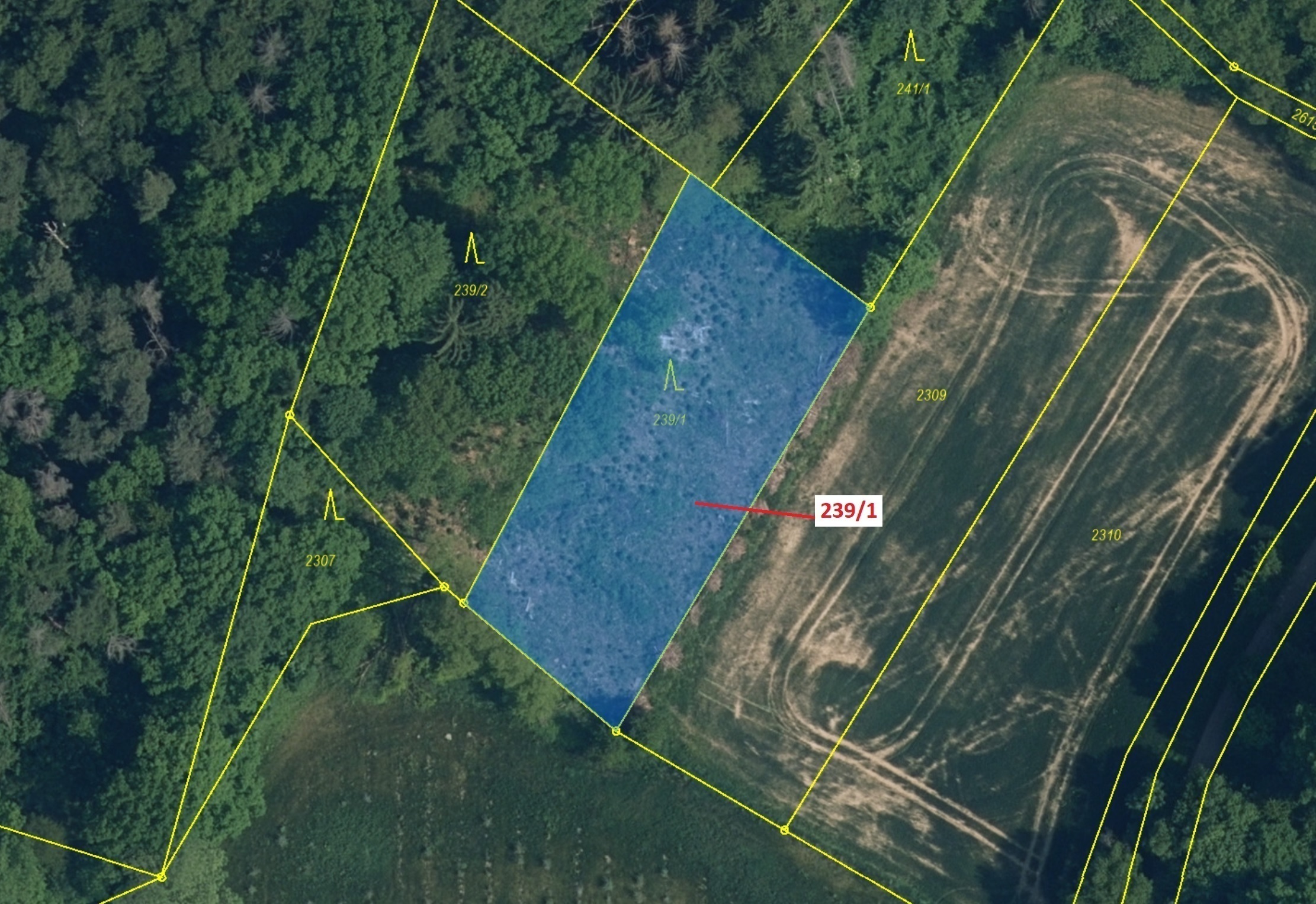 Lesní pozemek o výměře 1872 m2, podíl 1/1, katastrální území Jenišovice u Jablonce nad Nisou, obec J