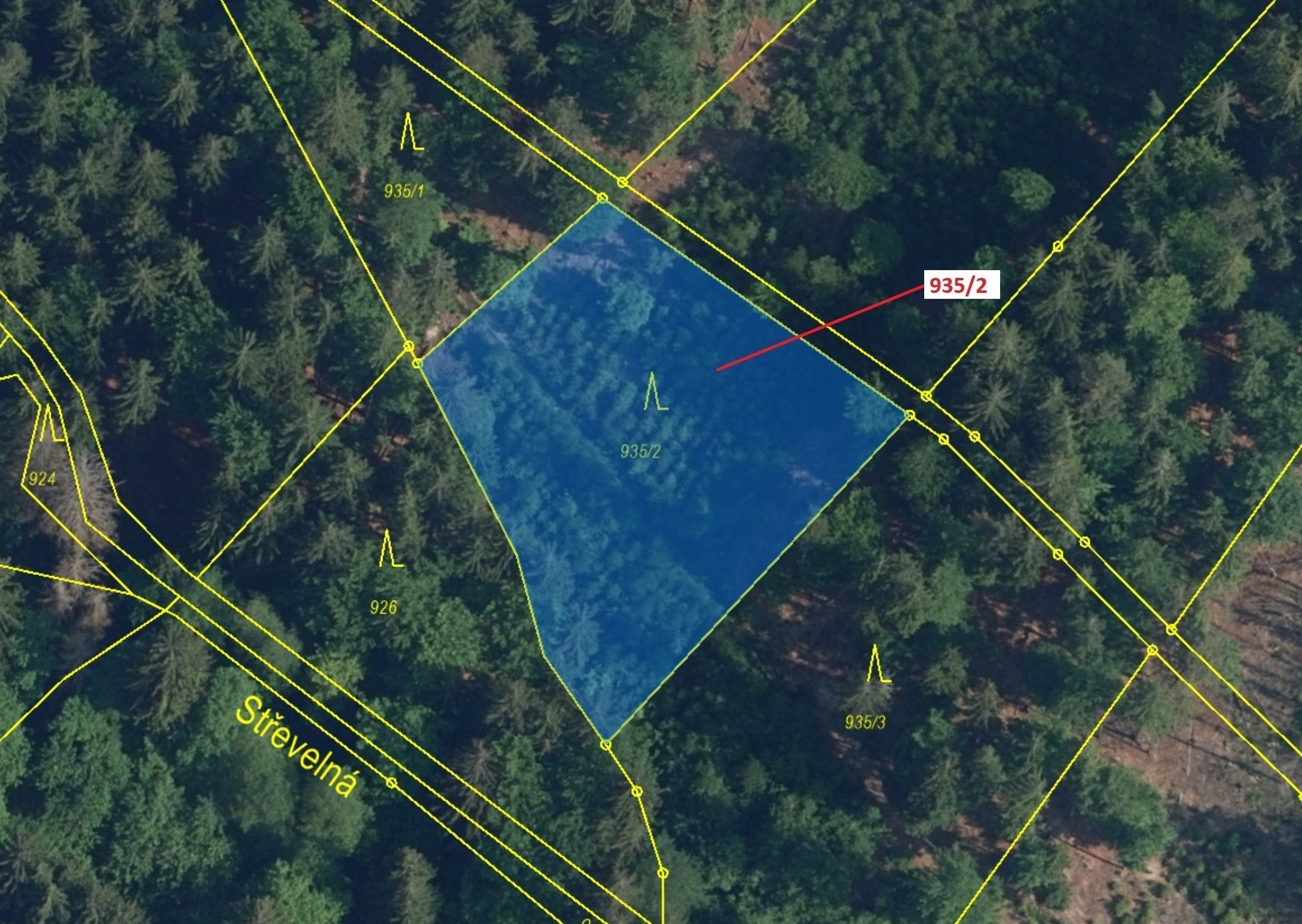 Lesní pozemek o výměře 1684 m2, podíl 1/1, katastrální území Jílové u Držkova, obec Jílové u Držkova