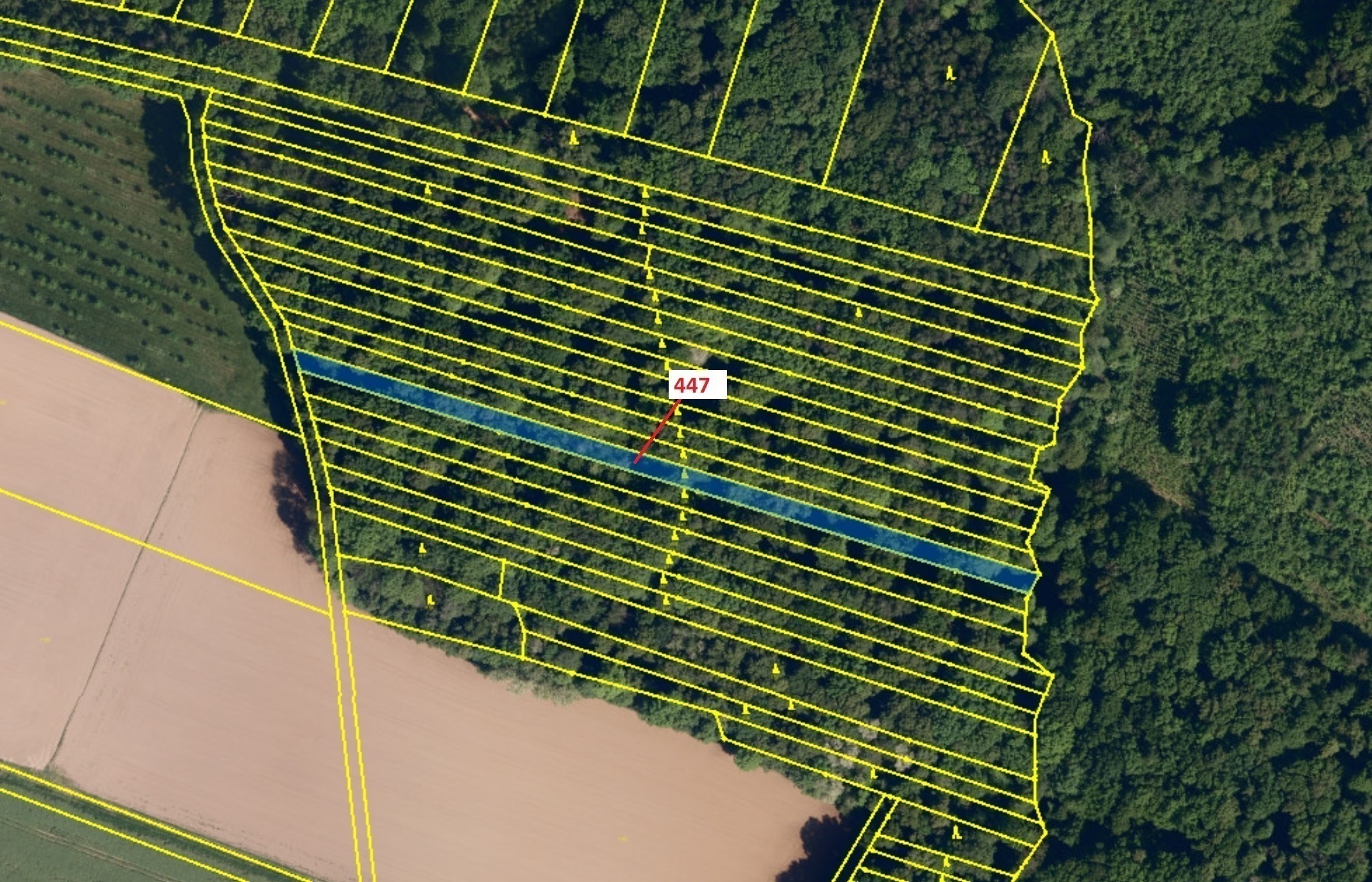 Lesní pozemek o výměře 1989 m2, podíl 1/1, katastrální území Hradčany na Moravě, obec Hradčany, obec