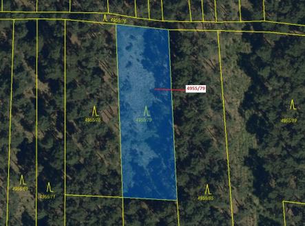 Prodej pozemku, les, 1 662 m²