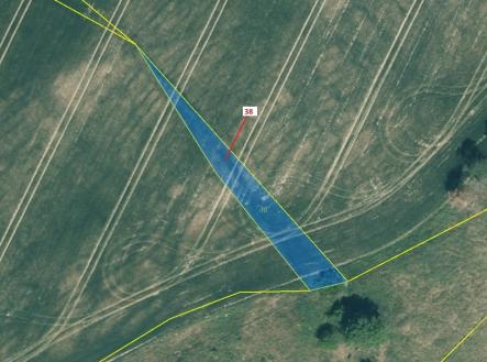 Prodej pozemku, les, 489 m²