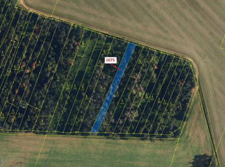 Prodej pozemku, les, 1 134 m²