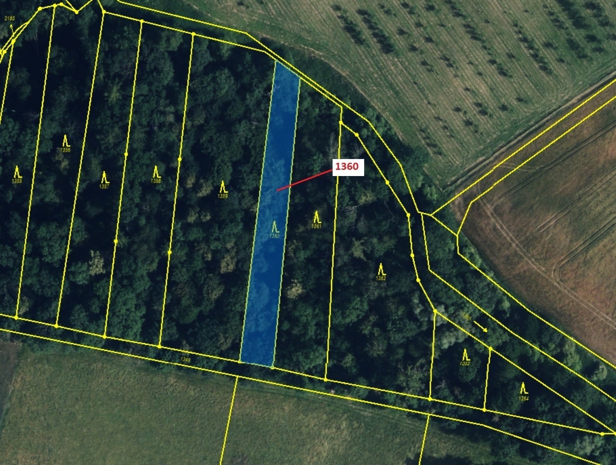 Lesní pozemek o výměře 1221 m2, podíl 1/1, katastrální území Hradčany na Moravě, obec Hradčany, obec