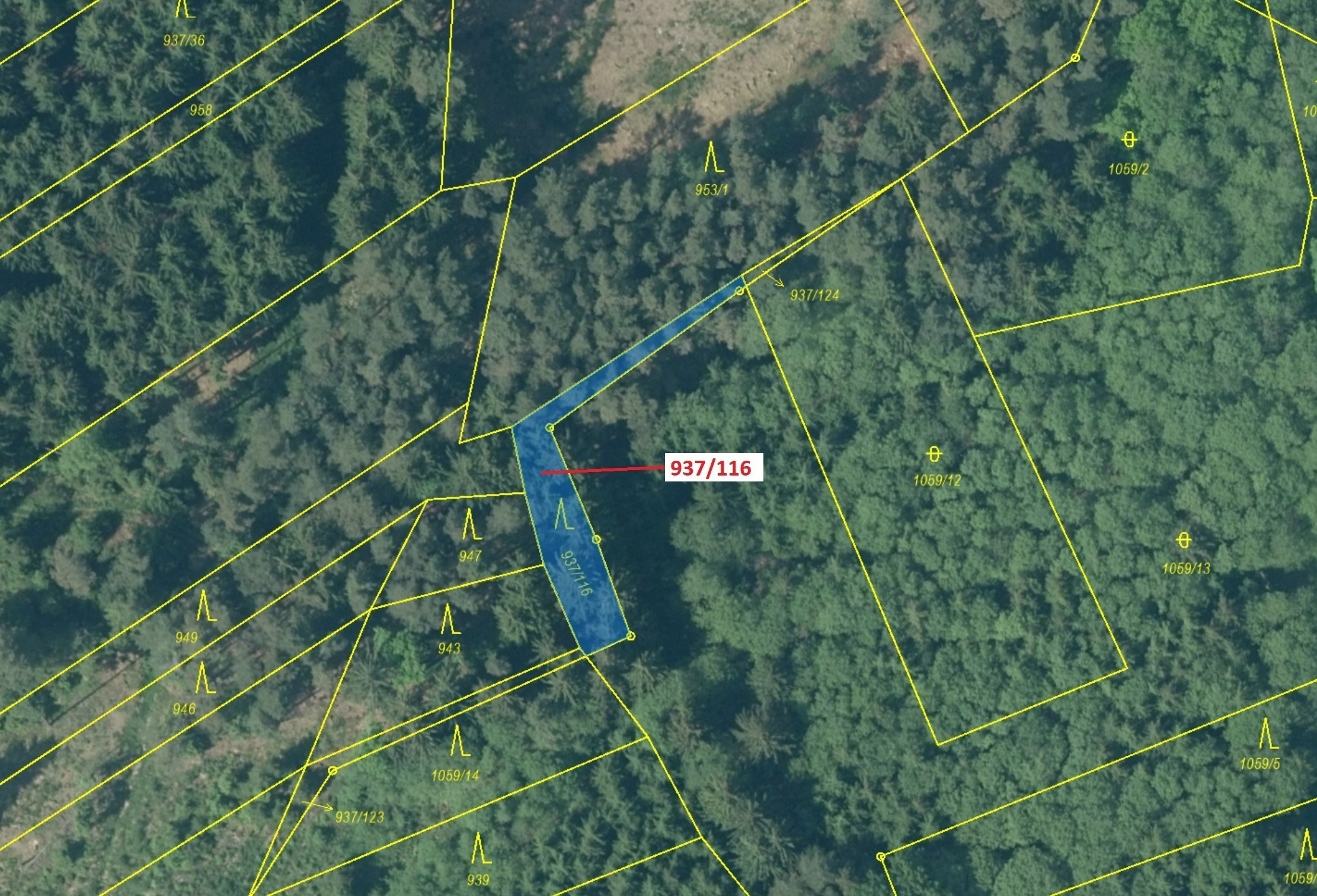Lesní pozemek o výměře 295 m2, podíl 1/1, katastrální území Netřebice, obec Netřebice, obec s rozšíř