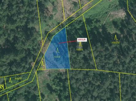 Prodej pozemku, les, 546 m²