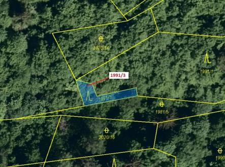 Prodej pozemku, les, 115 m²