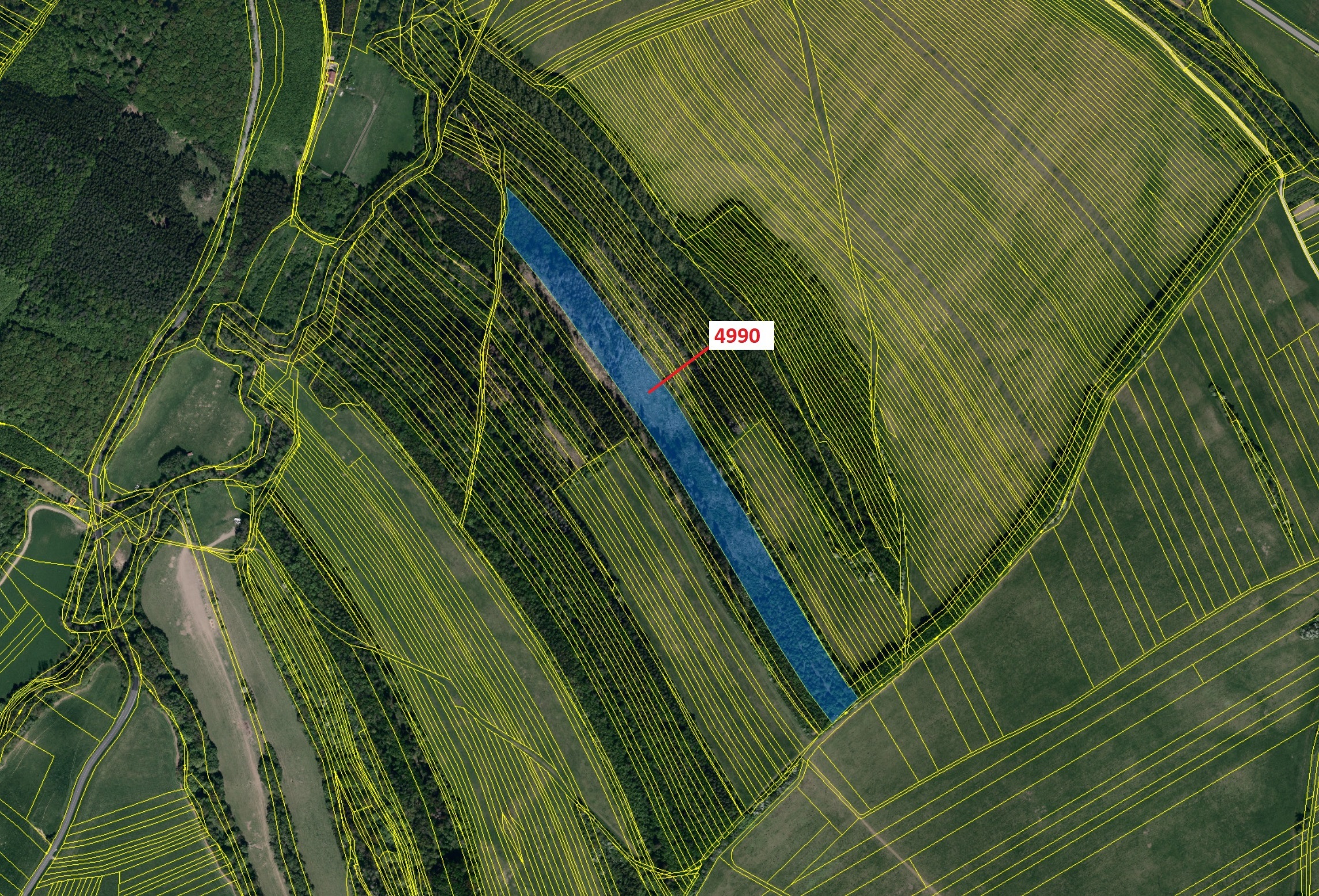 Lesní pozemek o výměře 35 849 m2, podíl 1/1, katastrální území Bojkovice, obec Bojkovice, obec s roz