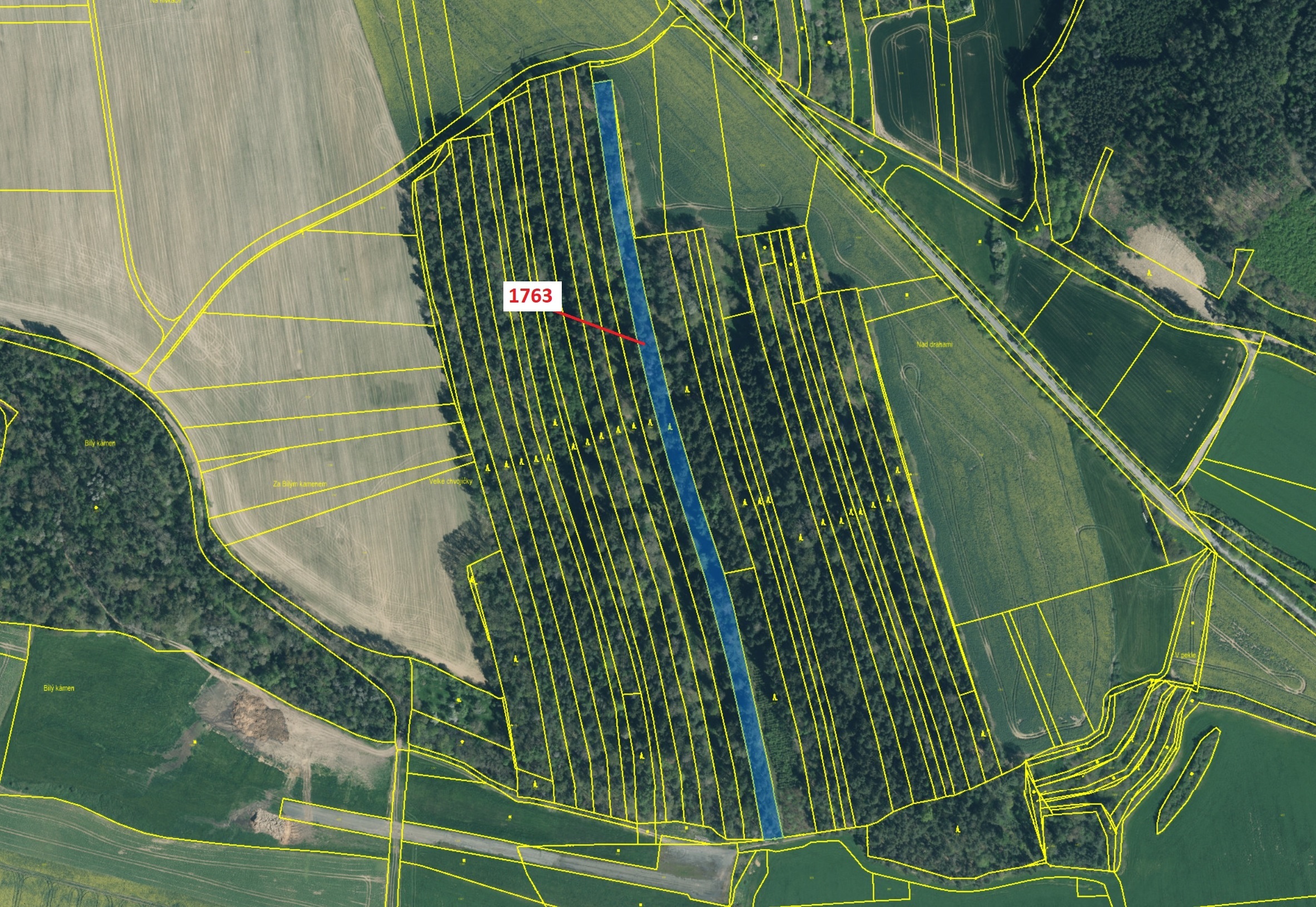Lesní pozemek o výměře 7329 m2, podíl 1/1, katastrální území Koloveč, obec Koloveč, obec s rozšířeno