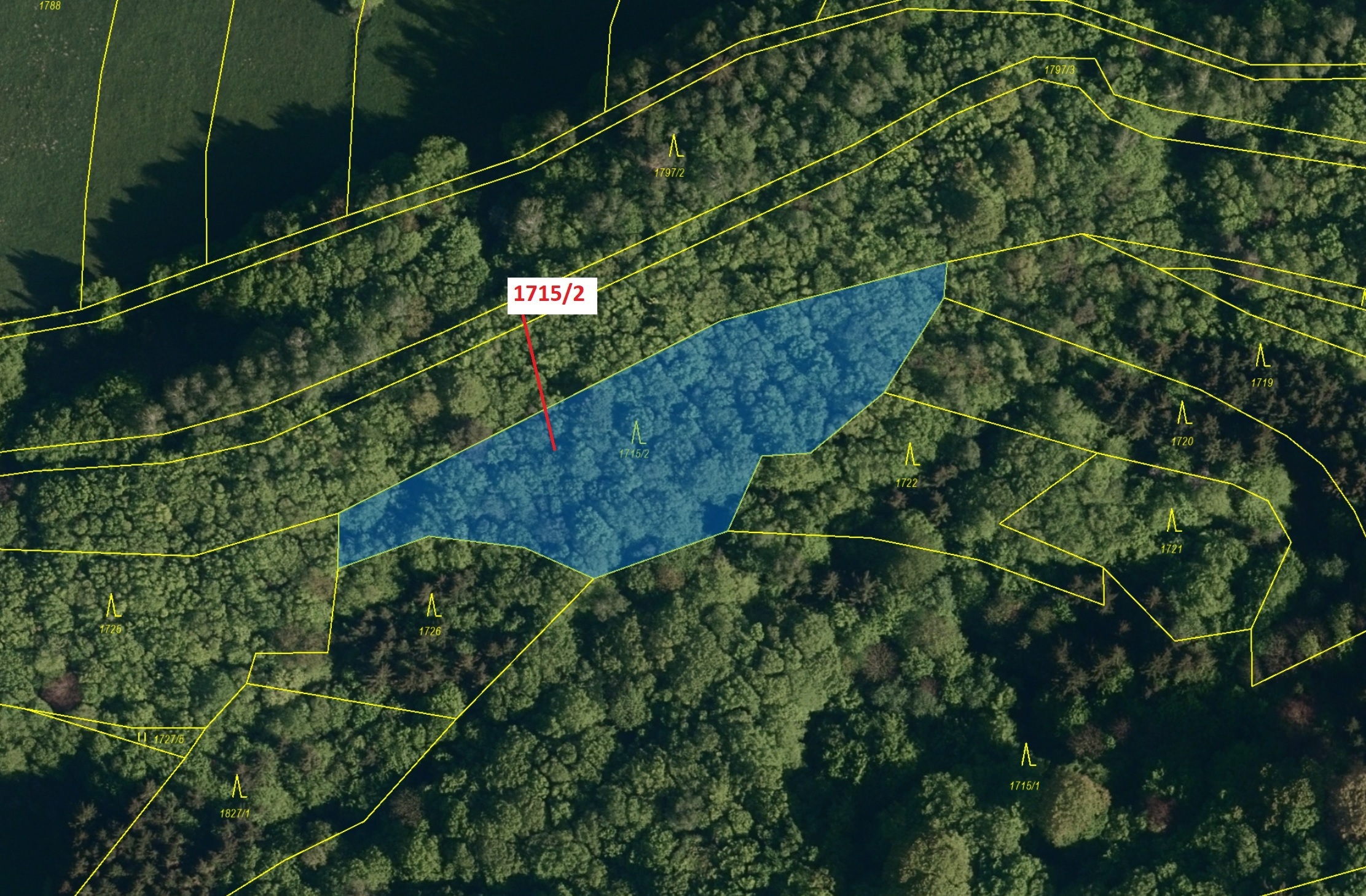 Lesní pozemek o výměře 2632 m2, podíl 1/1, katastrální území Valašská Polanka, obec Valašská Polanka