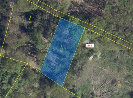Prodej pozemku, les, 1 462 m²