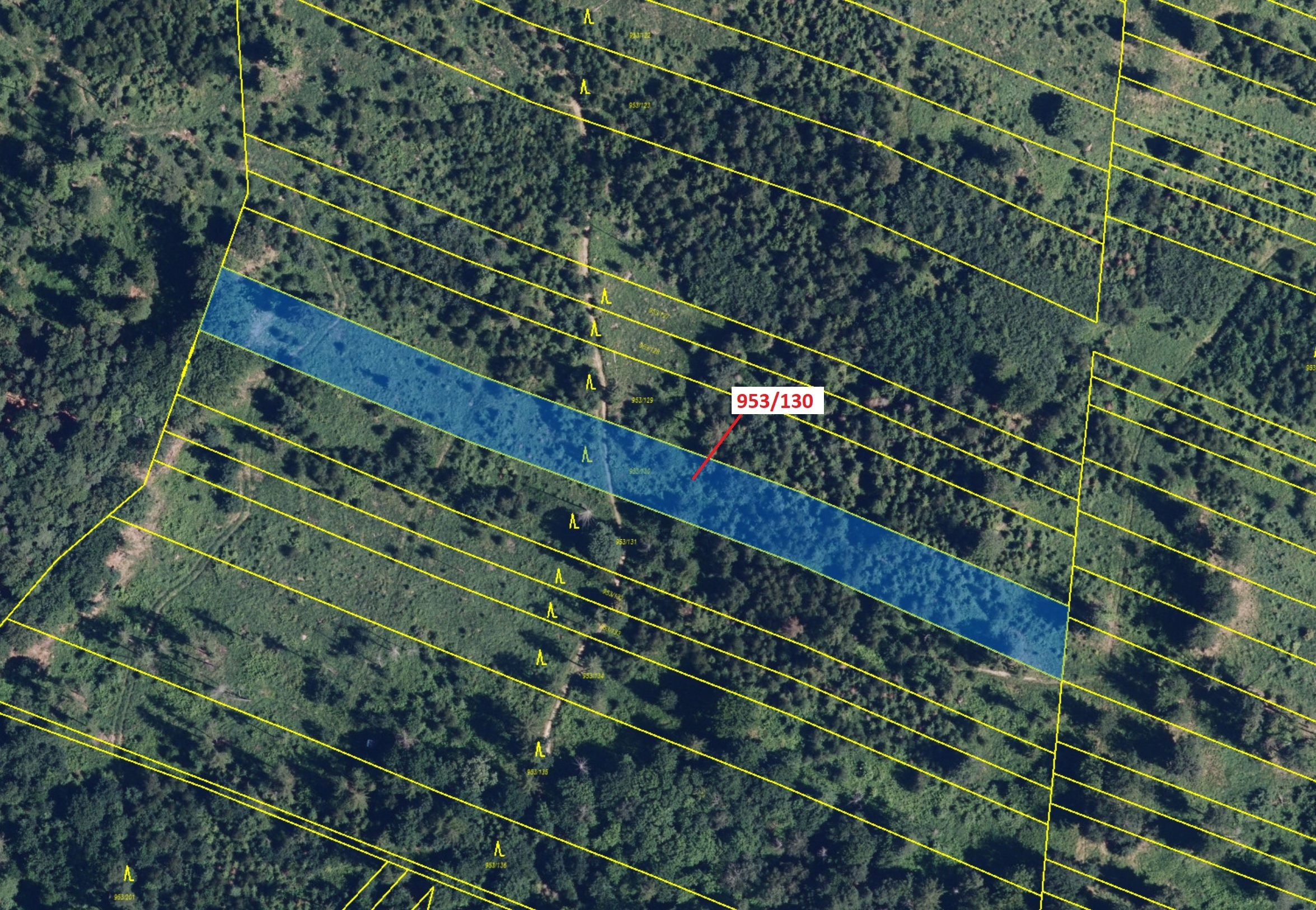 Lesní pozemek o výměře 5079 m2, podíl 1/1, katastrální území Nová Hradečná, obec Nová Hradečná, obec