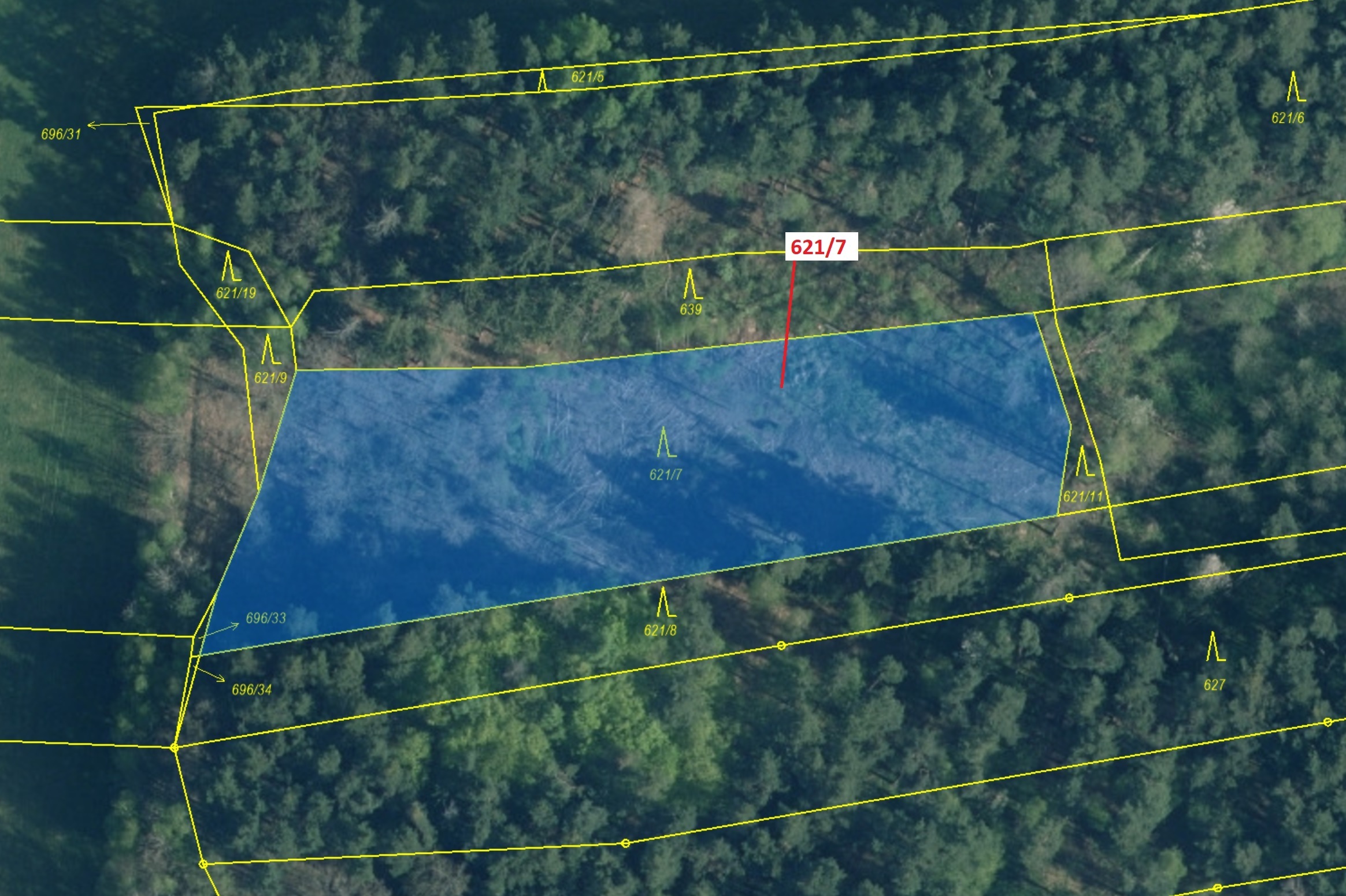 Lesní pozemek o výměře 3603 m2, podíl 1/1, katastrální území Bukvice u Trhových Svinů, obec Trhové S