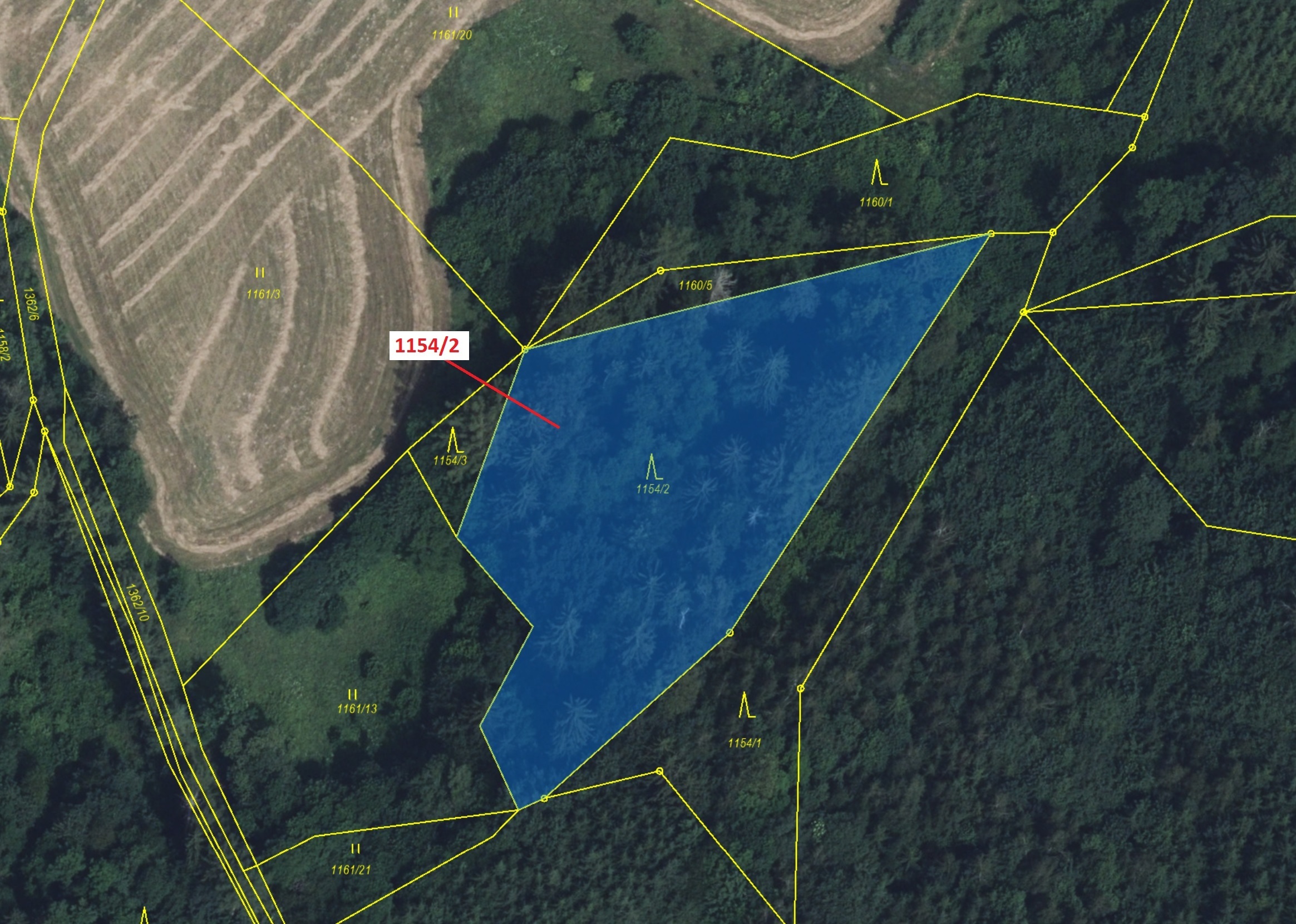 Lesní pozemek o výměře 3699 m2, podíl 1/1, katastrální území Kunčice u Letohradu, obec Letohrad, obe