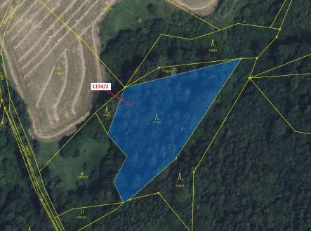 Prodej pozemku, les, 3 699 m²