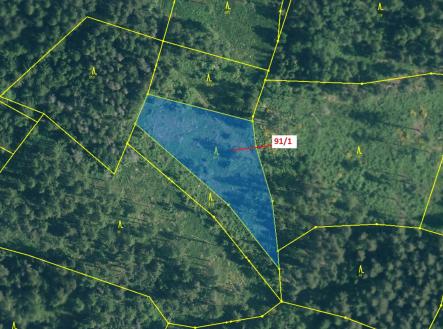 Prodej pozemku, les, 3 251 m²